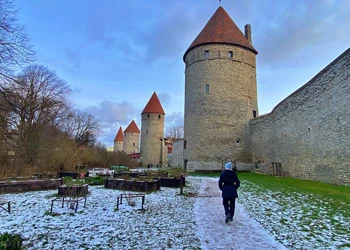 tallin