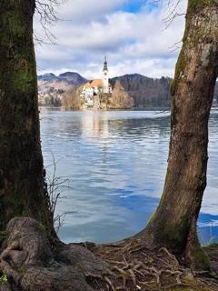 bled